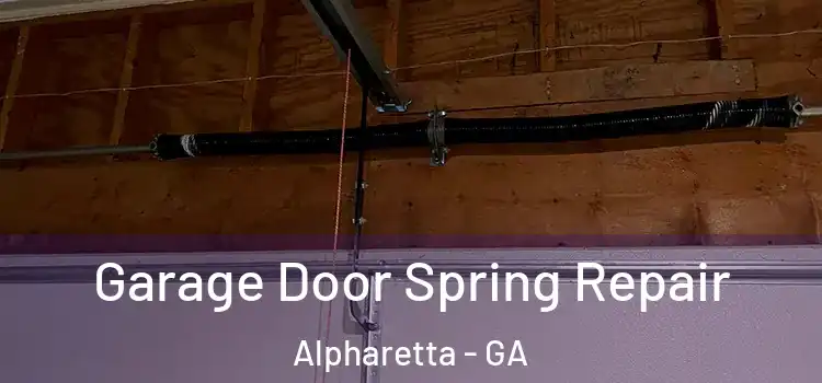  Garage Door Spring Repair Alpharetta - GA